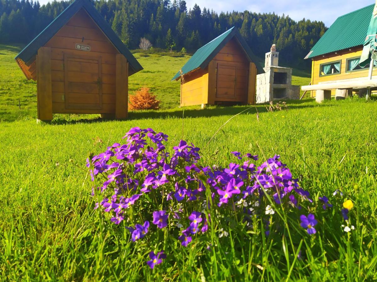 Eko Katun Damjanovic - Bjelasica Mojkovac Exterior photo